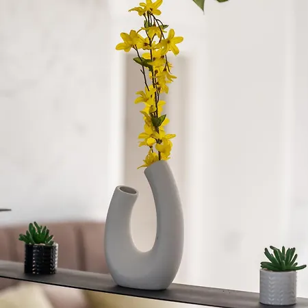 Διαμέρισμα Penthouse Franita 50 Meters From The