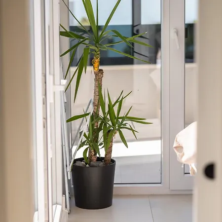 Διαμέρισμα Penthouse Franita 50 Meters From The